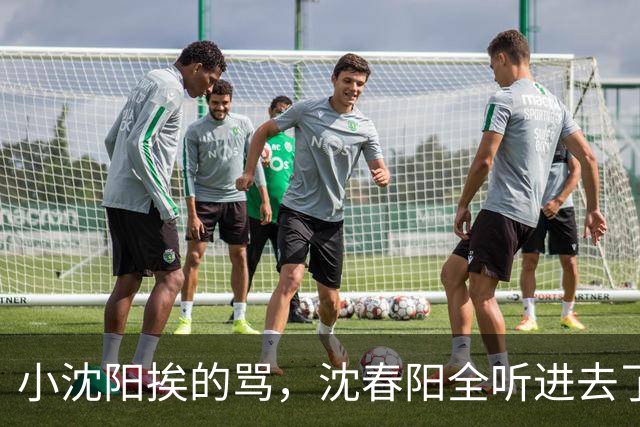小沈阳挨的骂，沈春阳全听进去了：赵家班的老兄弟一个不用！